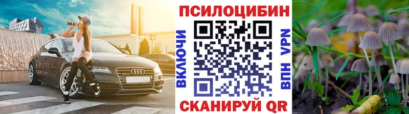 omg маркетплейс  Лабинск  Галлюциногенные грибы Psilocybine cubensis  как найти наркотики 